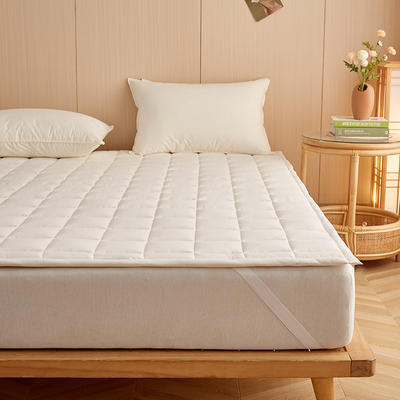 2023新款色织水洗全棉新疆棉花床垫加厚床褥 100*200cm 白色