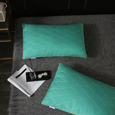 2020新款磨毛绗绣枕头枕芯-48*74cm/只 磨毛 绿色