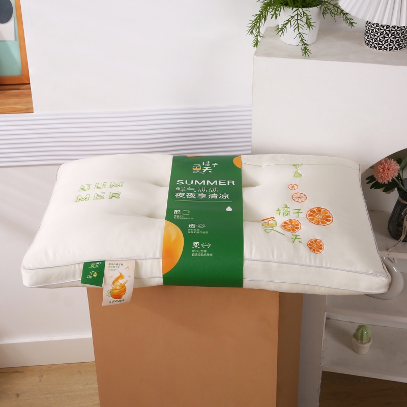 2022新款枕芯刺绣高端枕头成人家用枕定型羽丝绒舒适入眠系列 橘子夏天 白