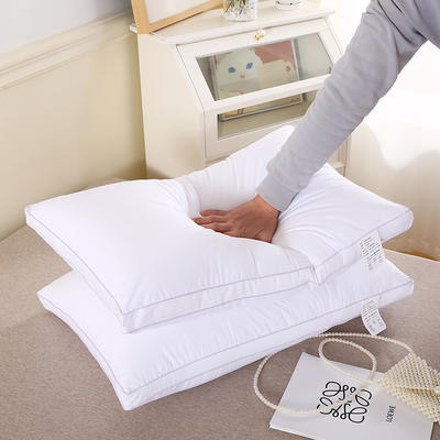 2023新款全棉跑量枕芯学生枕头成人单人舒适枕芯不易变形高弹枕 48*74cm/只 立体700克