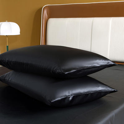 2024新品供跨境外贸平台TEMU  SHEIN冰丝四件套系列--单枕套 51*76cm/对 黑色