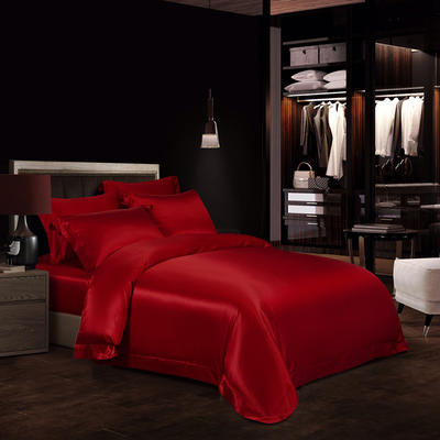 2020新款素色真丝四件套 2.0m床单款四件套（自带天地盖包装） 大红