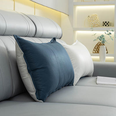 2023新款科技布客厅沙发腰枕飘窗靠背珍珠棉可定制支持一件代发 50*70cm  单独套子 蓝-科技布