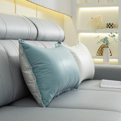 2023新款科技布客厅沙发腰枕飘窗靠背珍珠棉可定制支持一件代发 50*70cm  单独套子 绿-科技布