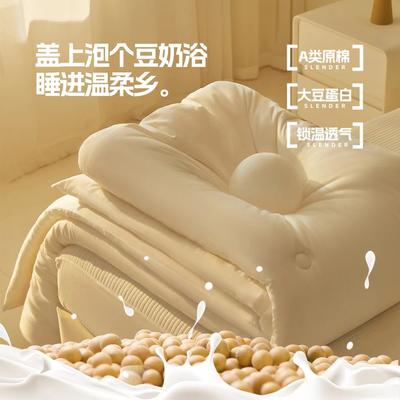 2023新款A字原棉大豆被 被子被芯 冬被 120x150cm 2.5斤 奶白