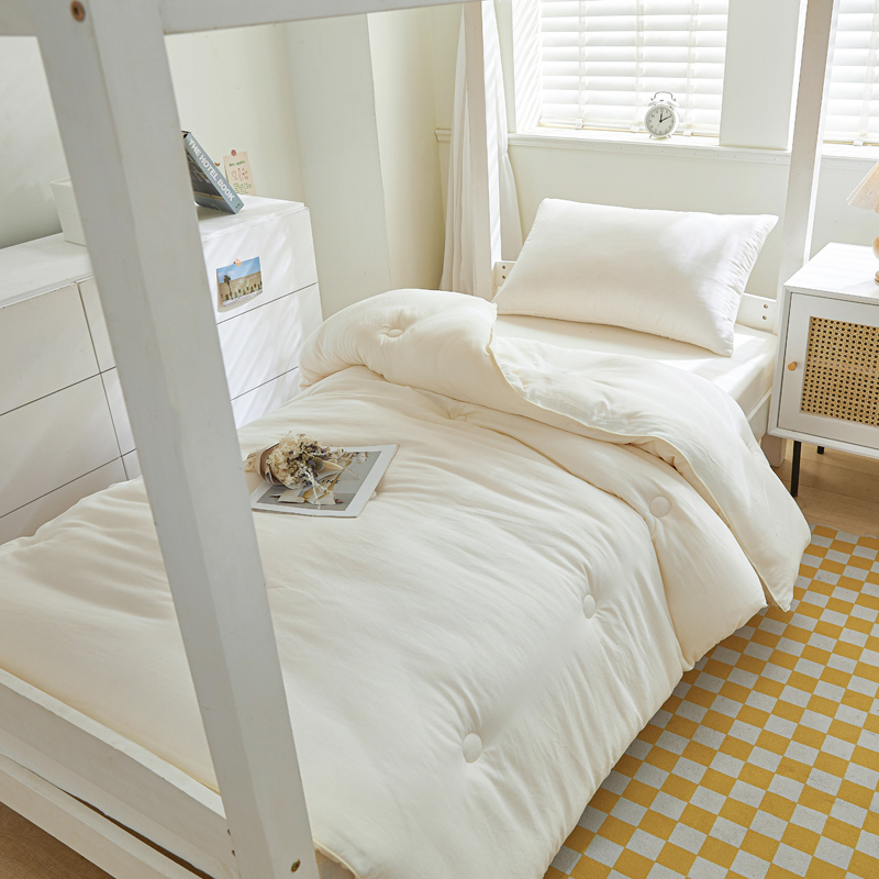 2024新款小奶棉学生宿舍单人被被子被芯