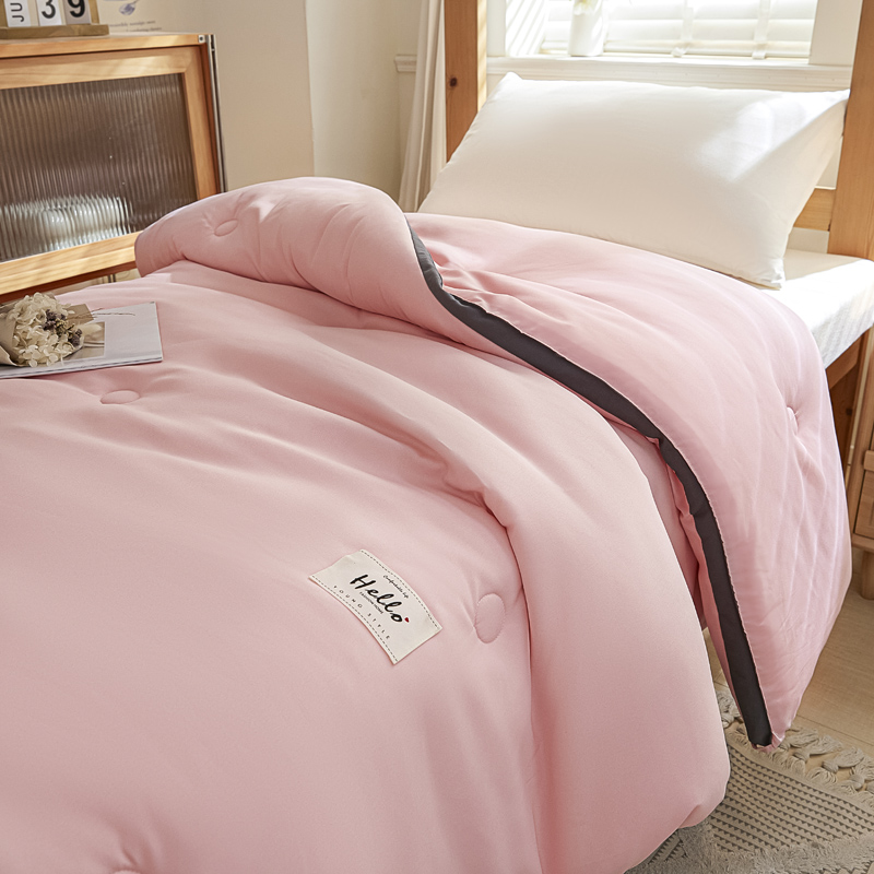 2024秋冬新款抗菌立体贴标单人宿舍学生被被子被芯