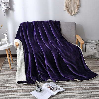 2023新款羊羔绒毛毯双层加厚盖毯 150*200cm 深紫