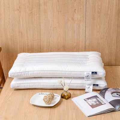 2021新款荞麦立体低枕枕头枕芯 白