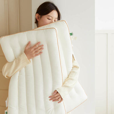 2021新款原棉A类羽丝绒立体定型枕枕头枕芯 48*74cm/只 白色