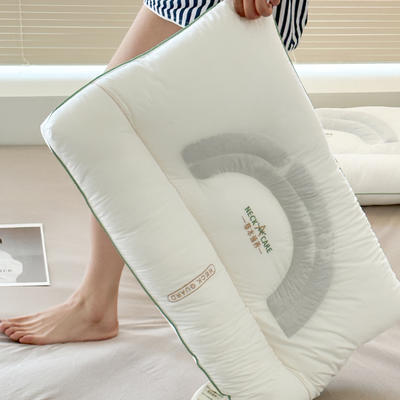 2023新款全棉刺绣半圆酒店超细纤维决明子枕枕头枕芯 白色