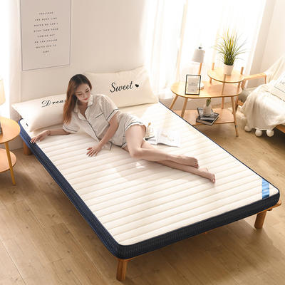 2023新款乳胶海绵立体款床垫 支持定制 一件代发 90*200cm 直条立体白10cm