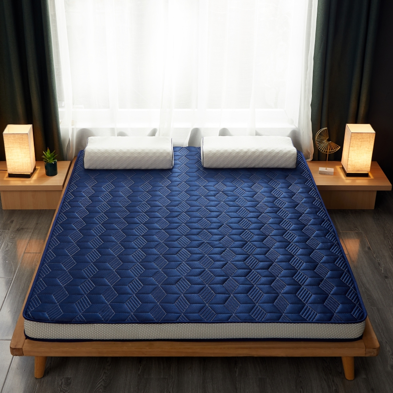 2023新款乳胶层硬质棉床垫 90*200cm（硬质棉600g） 方块蓝