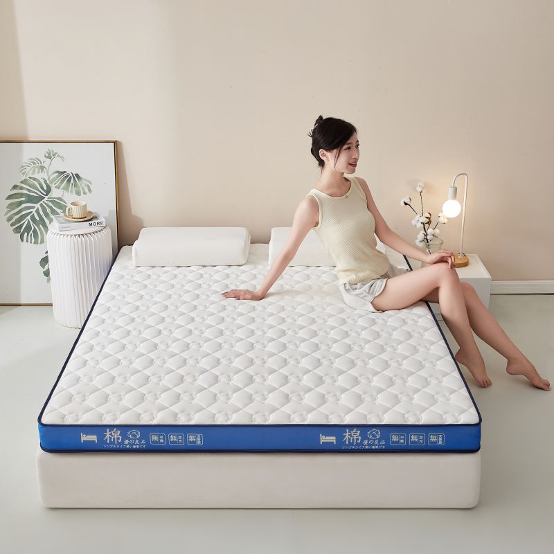 2023新款新疆棉花记忆海绵床护垫床垫（立体） 90*200cm（6公分） 新疆棉花记忆海绵白素蓝