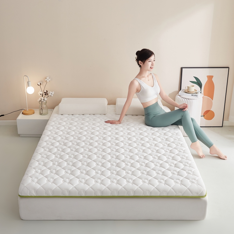 2023新款新疆棉花记忆海绵床护垫床垫（单边） 90*200cm（6公分） 棉花单边-白果绿