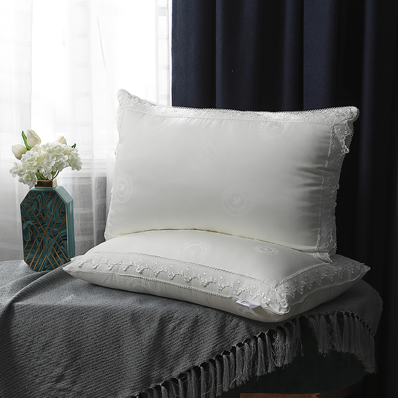 2020新款抗菌防螨美肤蕾丝枕枕头枕芯 48*74cm米白色
