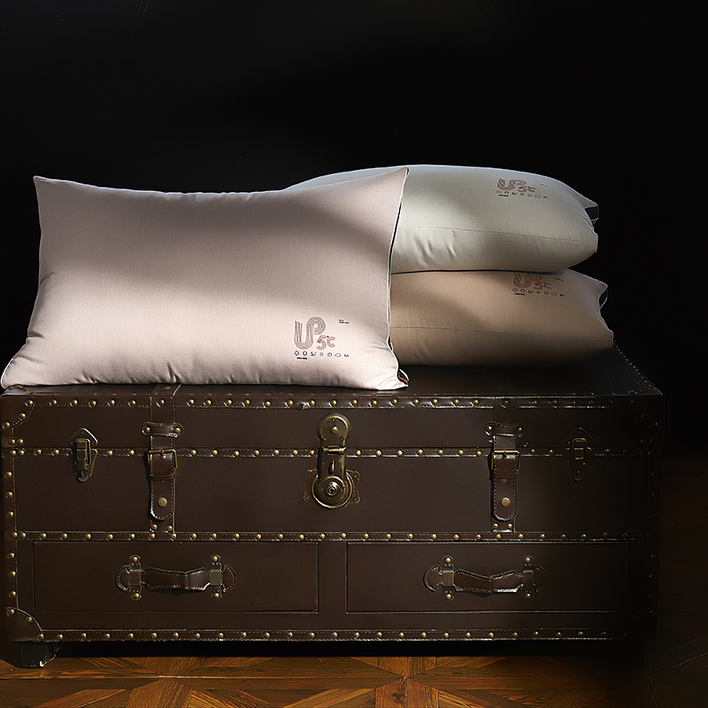 2021新款自热小黑枕生姜暖柔再生纤维素纤维枕头枕芯48*74cm 咖色