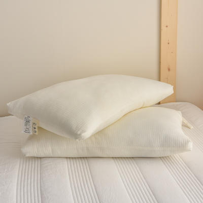 2021新款枕头枕芯全棉原棉大豆枕芯48*74cm 白色-低枕（高度13cm）
