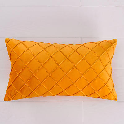2020年新款工艺款荷兰绒抱枕水晶绒丽丝绒韩国绒纯色 30X50cm枕套+350g磨毛布枕芯 三分格黄色 (2)