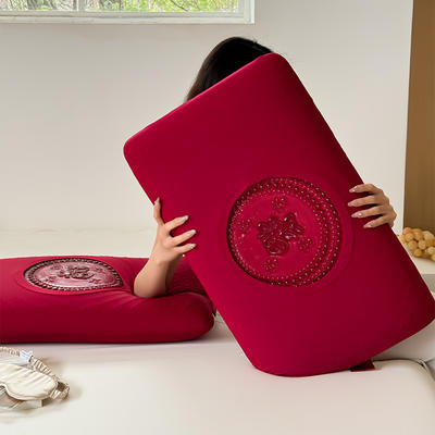 2024新款大红色福字凝胶面包款枕头枕芯 40*70cm/只 红色