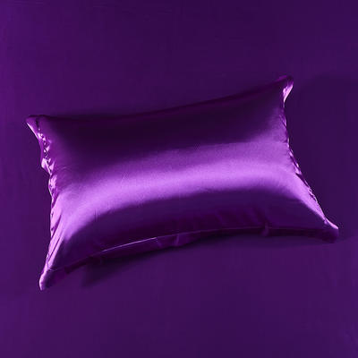 蒂梵熙家纺2021新款水洗真丝单品枕套冰丝枕头套丝绸枕套绸缎床上用品 48cmX74cm/对 温馨紫8