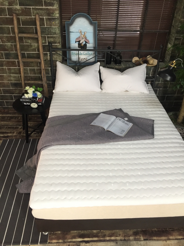 床褥床垫   乳胶床垫   （高5cm） 1.0*2.0 白