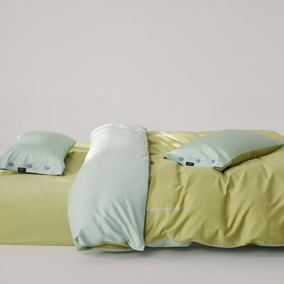 2024新款S100全棉纱织四件套-色彩艺术系列（场景一）（双面绣花，双面可用） 1.5m床单款四件套- 班格纳绿