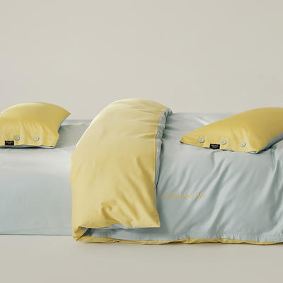 2024新款S100全棉纱织四件套-色彩艺术系列（场景一）（双面绣花，双面可用） 1.8m床单款四件套 罗兰黄