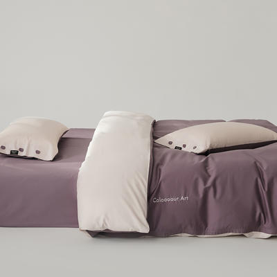 2024新款S100全棉纱织四件套-色彩艺术系列（场景一）（双面绣花，双面可用） 1.5m床单款四件套- 宁夏紫