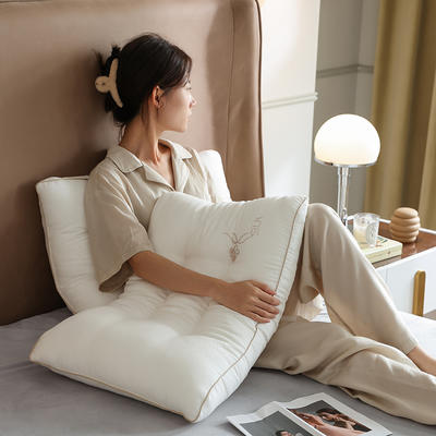 2021新款大豆蚕丝抗菌枕头枕芯48*74cm-模特图 大豆蚕丝枕