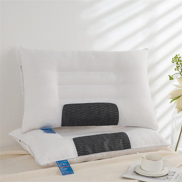 2022热款 矩形网 纯色决明子磁石枕 单人枕芯 枕头 护颈枕芯