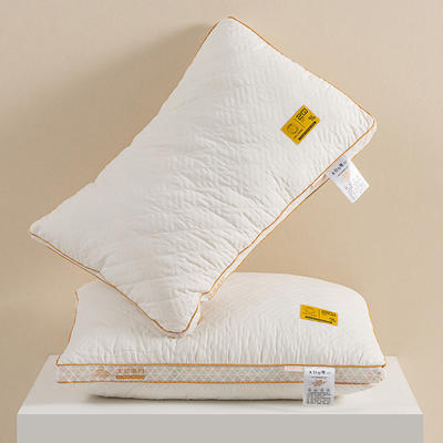 2024新款大豆立体透气枕 枕头枕芯 48*74cm一只 低枕/900克