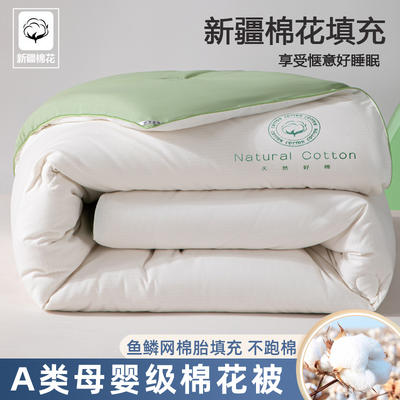 （加微信下单）2023新款正宗A类新疆棉花被 被子被芯（送买家秀）---拼色款 150*200cm 4斤 天水绿