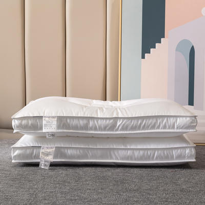 2021新款羽丝绒枕芯分区定型枕护颈低枕枕头48*74 白色