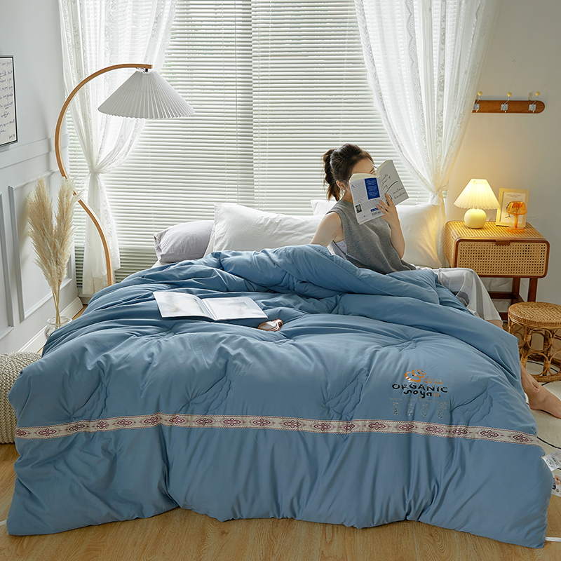 2025新款爱永恒大豆冬被水洗棉春秋被被子被芯 宾利蓝