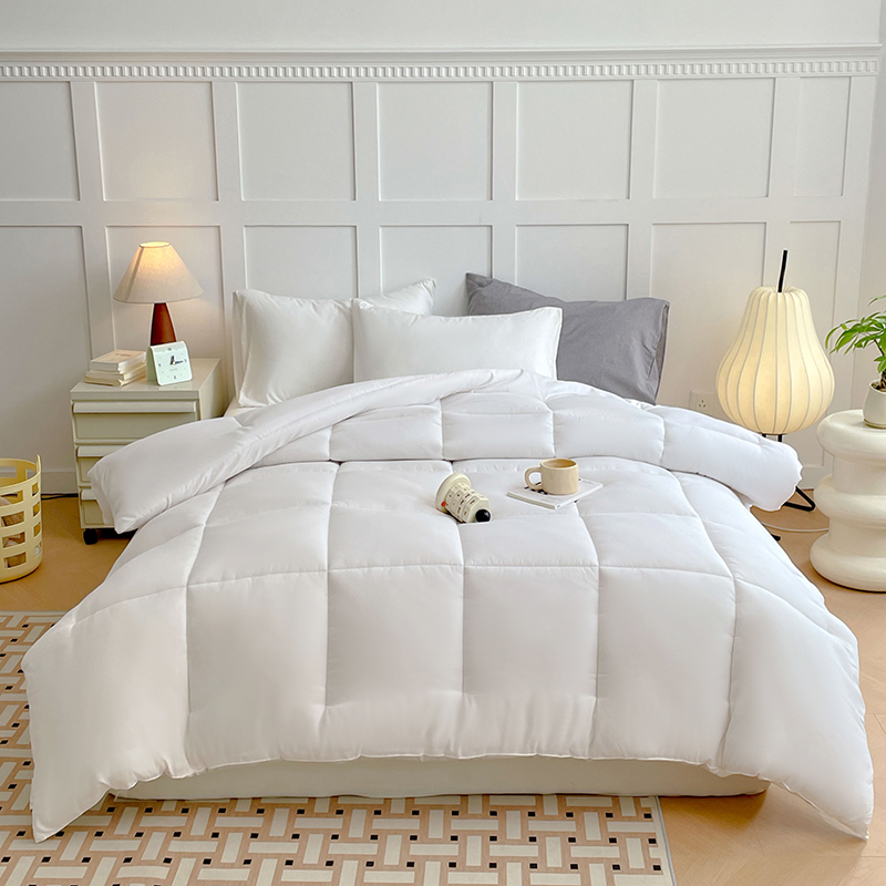 2025新款外贸冬被子被芯（可定做）跨境电商 白色