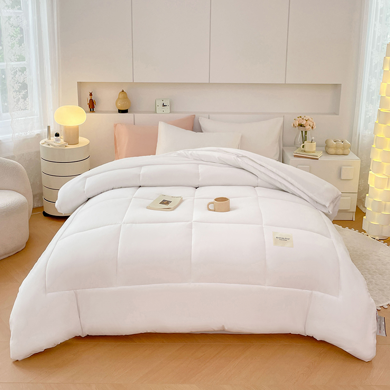2025新款磨毛二合一扣子款四季子母被学生冬被被子被芯 白色