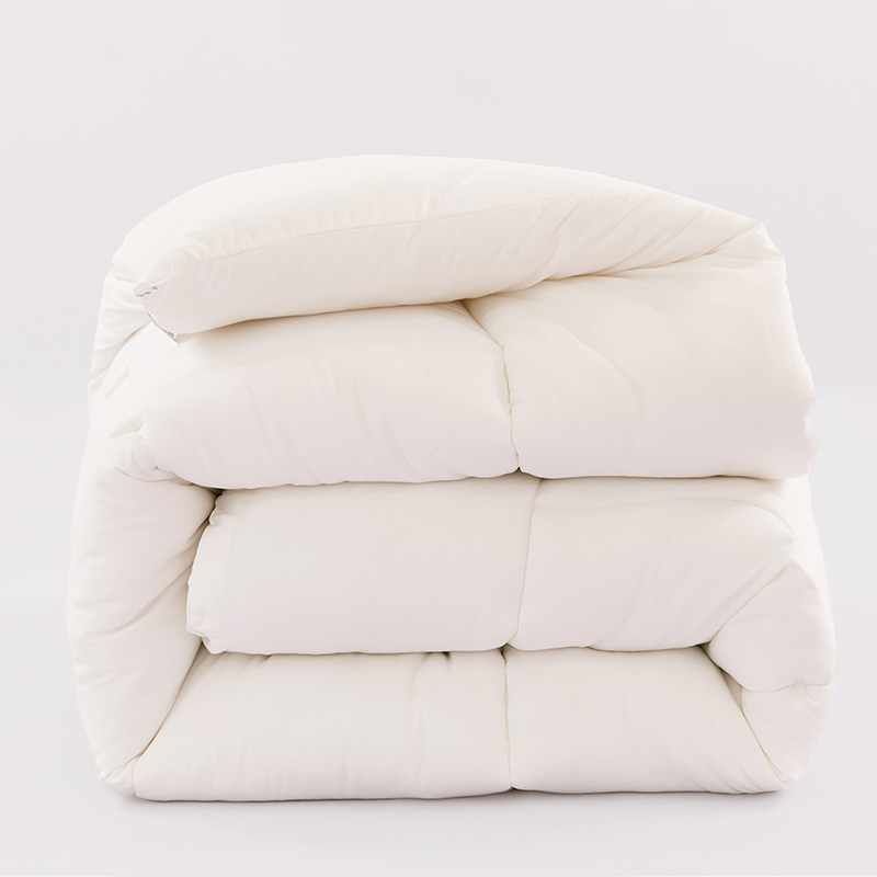 2025新款磨毛压花被冬被子被芯 白色