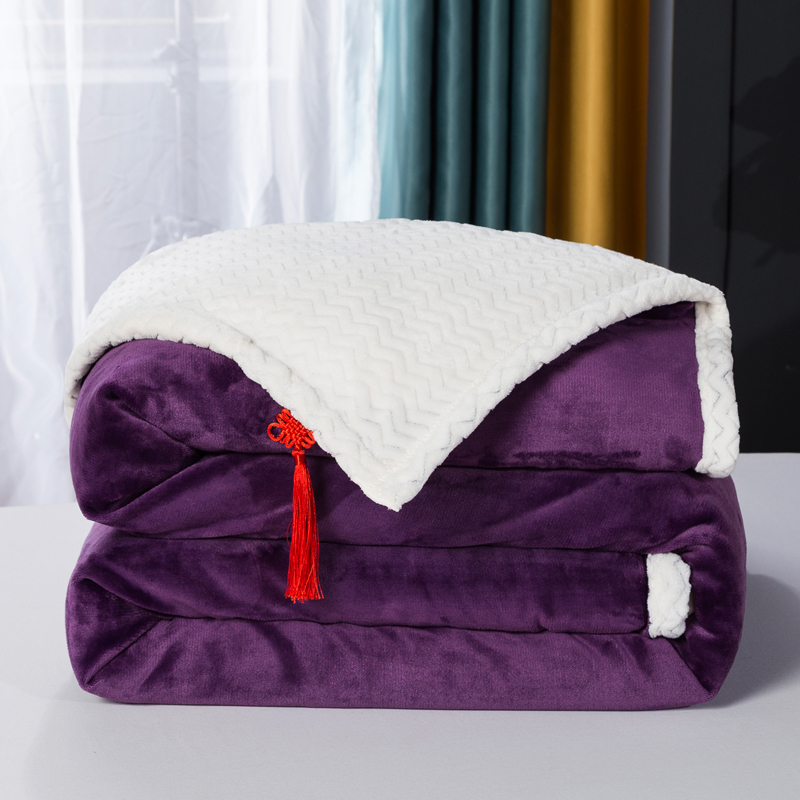 2020新品毛毯双层加厚牛奶绒休闲贝贝绒毯子空调毯沙发毯 1.2*2m（无拉链） 葡萄紫