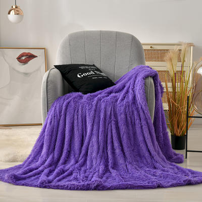 2021新款多功能双层超柔长毛毯空调毯毛绒被套带拉链 200X220cm 紫罗兰