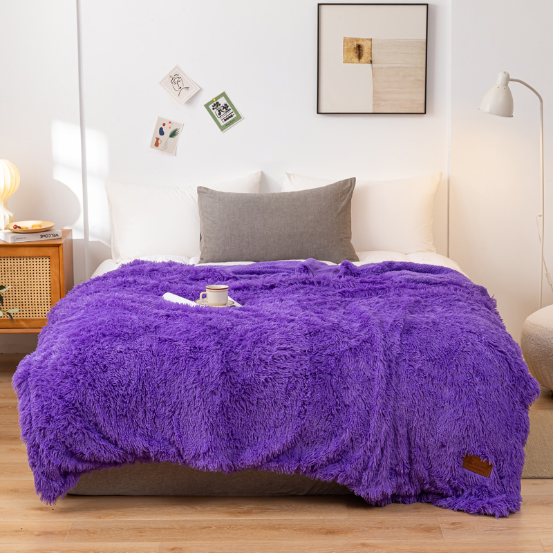 2024新款欧式纯色长毛羊羔绒毯沙发毯子加厚盖毯 200*220cm 浪漫紫
