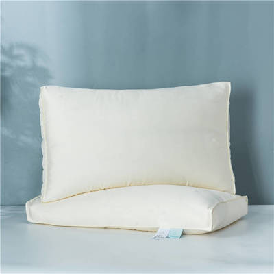 2021新款玻尿酸大豆枕枕头枕芯48*74cm/只 整张棉含20%大豆纤维 白色