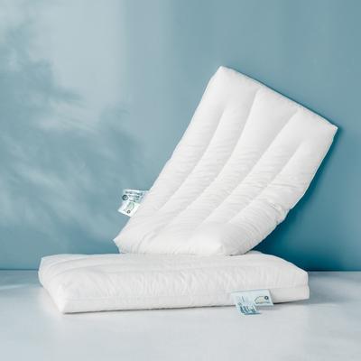 2021新款60s全棉A类无荧光宽基调压软管枕枕头枕芯TPE软管枕40*60cm/只 白色