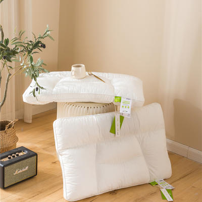 2022新款自然草本-五区汉方竹炭枕枕头枕芯 白色48*74cm