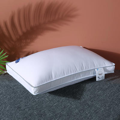 2020新款全棉高密暖心羽丝枕枕头枕芯48*74cm 白色/一只