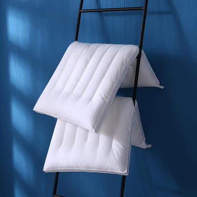 2024新款简约定型枕枕头枕芯48*74cm 简约定型枕枕头枕芯