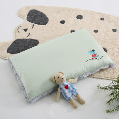 2024新款天丝儿童枕羽丝枕皮定型枕保健枕枕头枕芯 30*50cm天丝枕套/只 绿色
