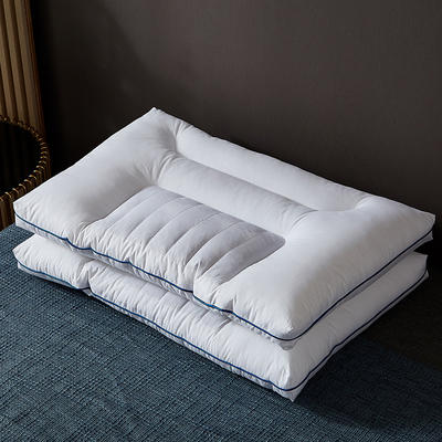 2021新款全棉分区决明子枕枕头枕芯48*74cm/只 白色