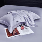 2024新款100支全棉单品系列-单枕套 48x74cm枕套/对 淡紫