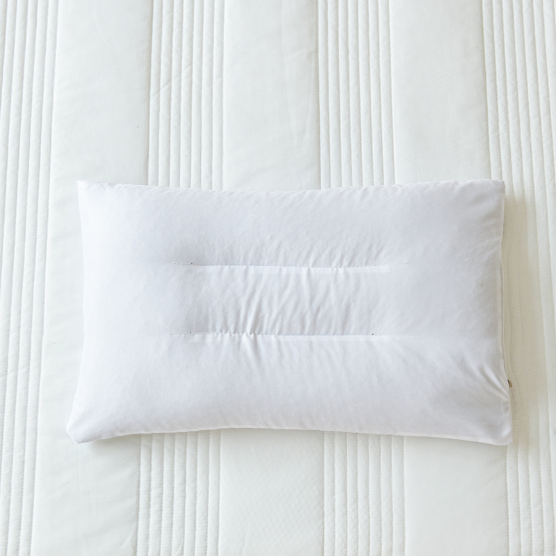 2024新款全棉60贡缎一字绣荞麦决明子枕芯枕套 单荞麦内胆（约1.5斤） 内胆